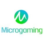 Slot Microgaming