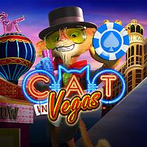 Cat in Vegas