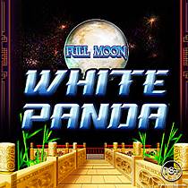 Full Moon White Panda