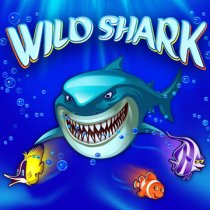 Wild Shark