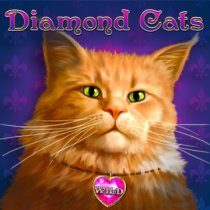 Diamond Cats