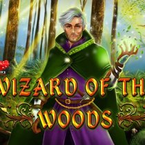 Wizard of the Woods