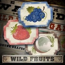 Wild Fruits