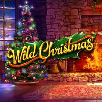 Wild Christmas