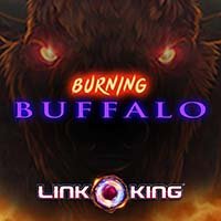 Link King Burning Buffalo