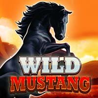 Wild Mustang