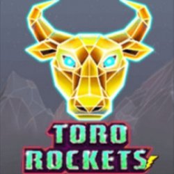 Toro Rockets
